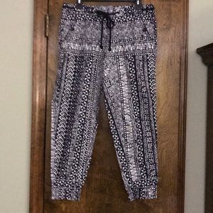 Loft crop pants